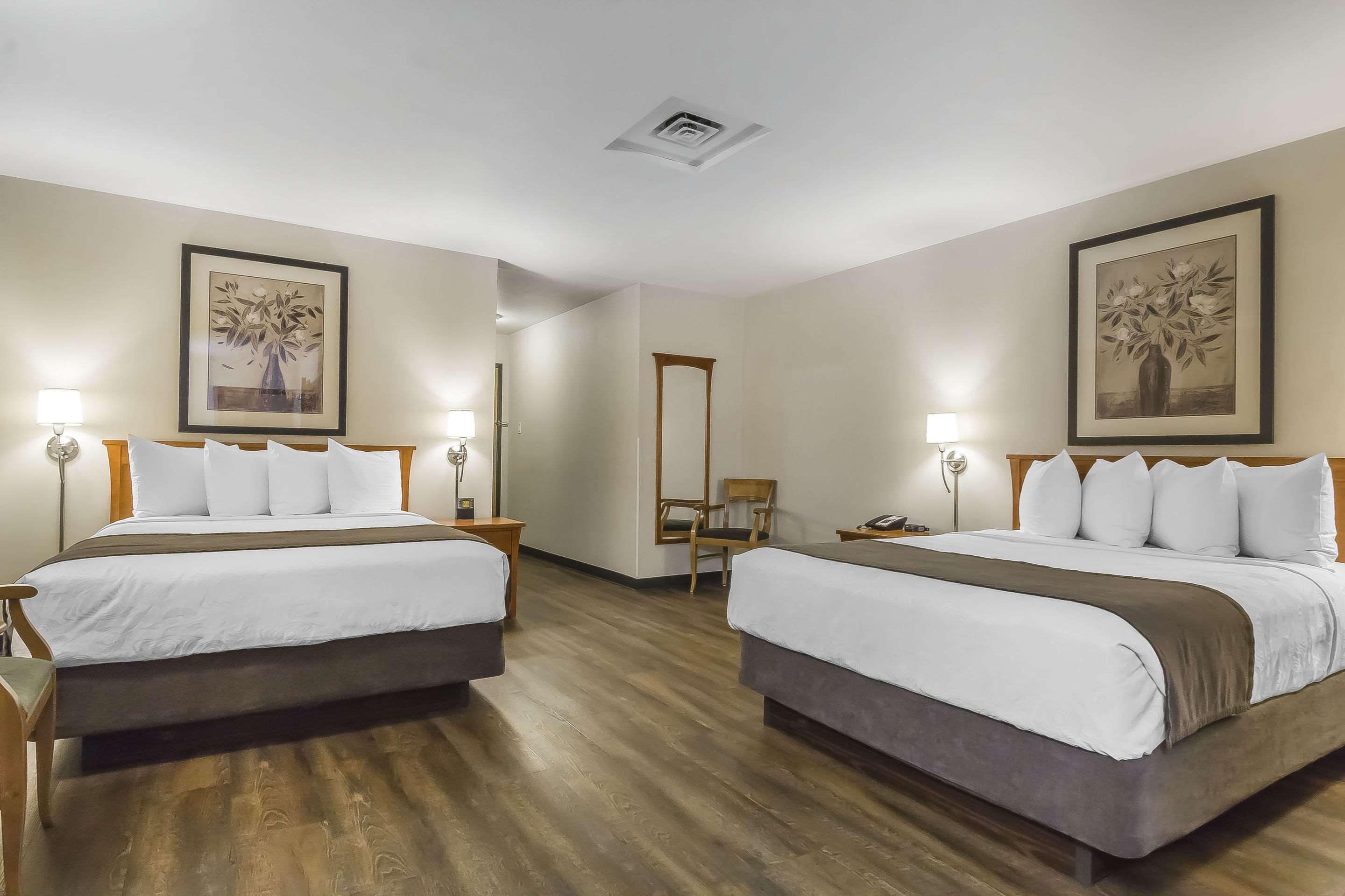 Quality And Hotel