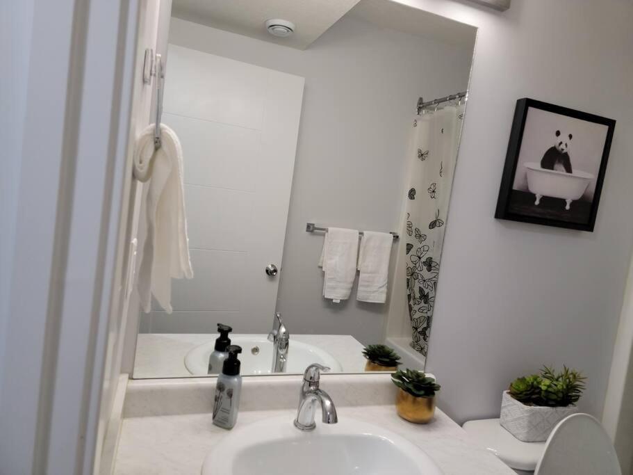 Apartment Exquisite Guest In