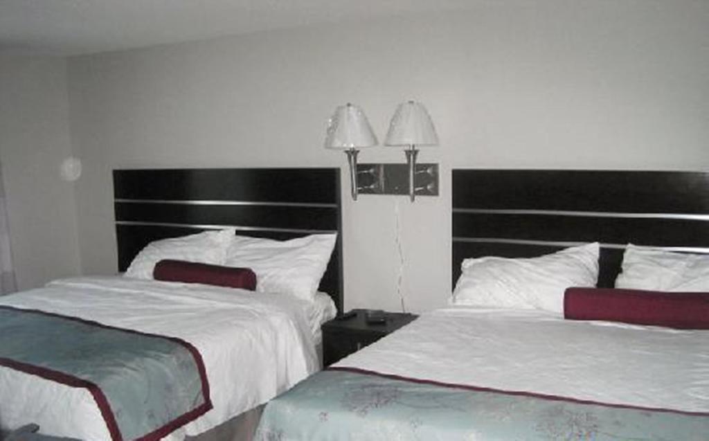 Super 8 By Wyndham Near Downtown 3*