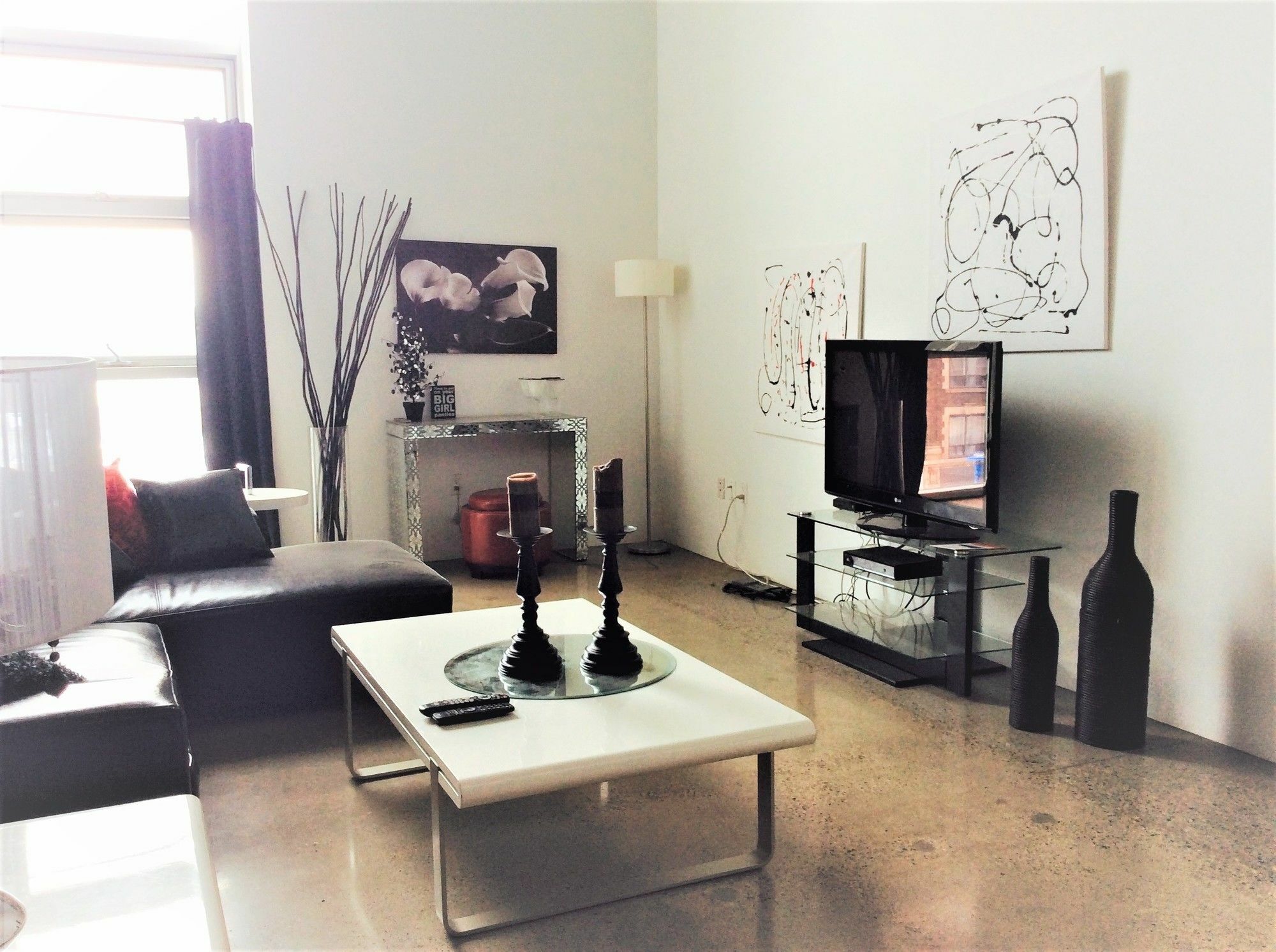 Downtown Executive Loft Apartment